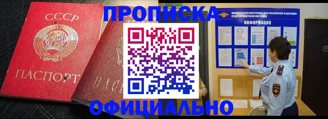 купить прописку в Мончегорске